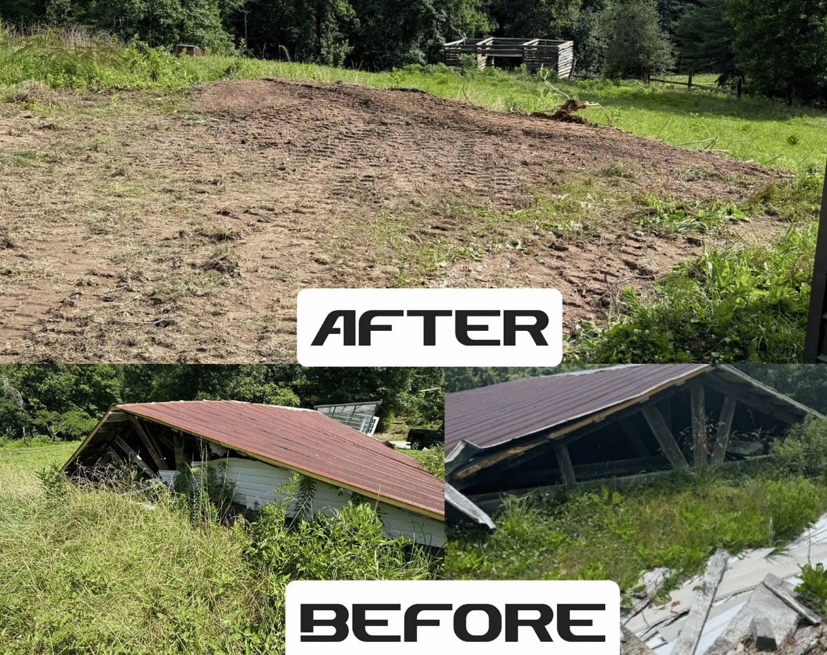 before and after removal 1