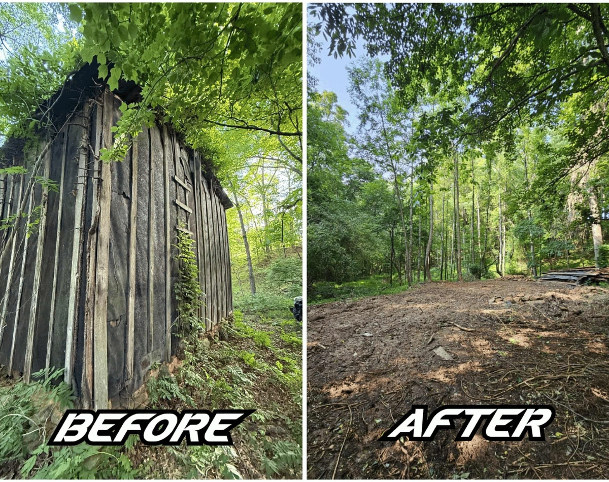 before and after removal 2