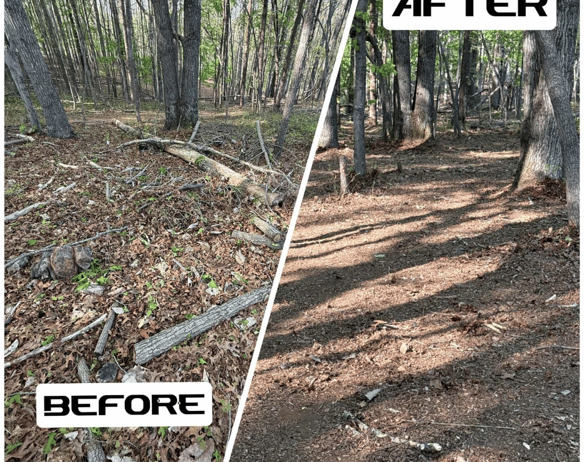 before and after removal 3