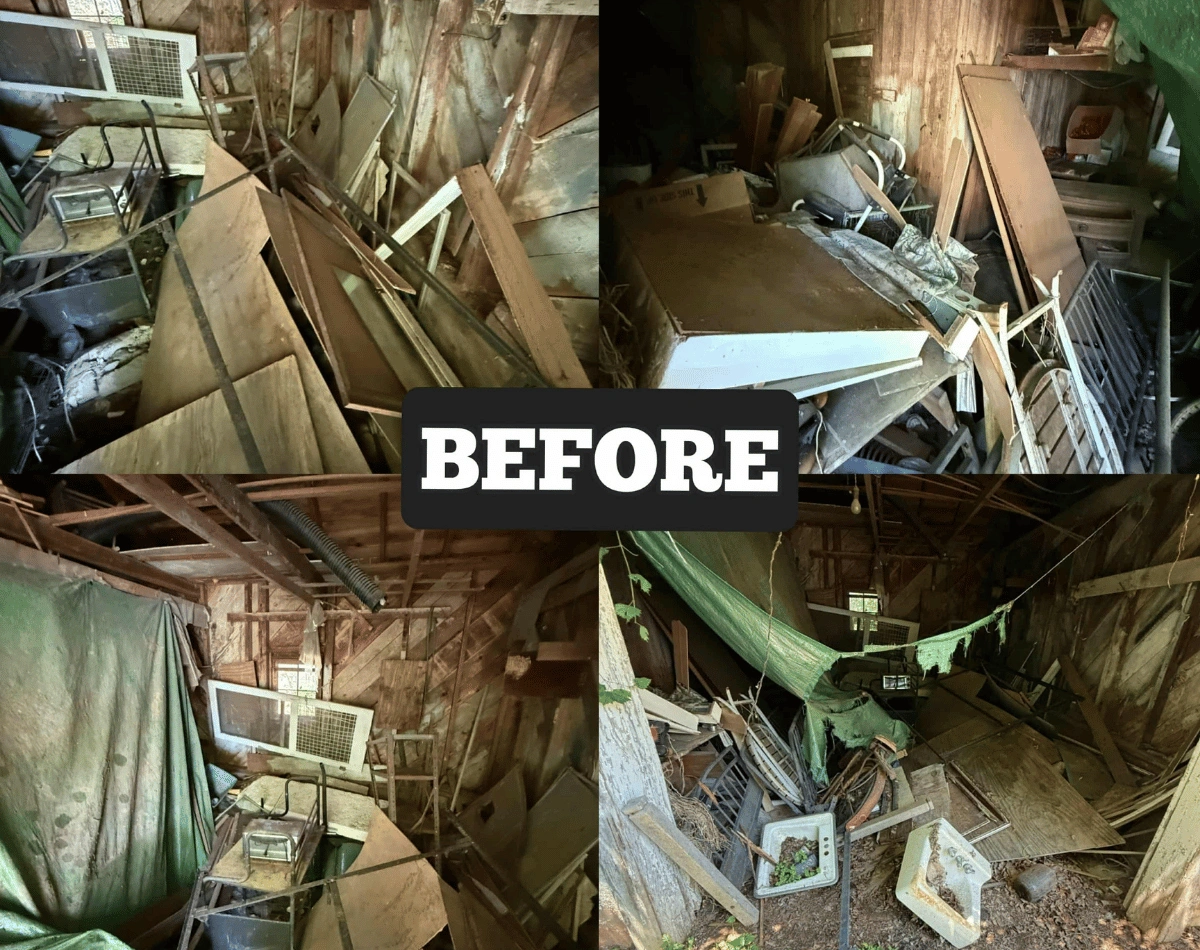 before and after removal 5