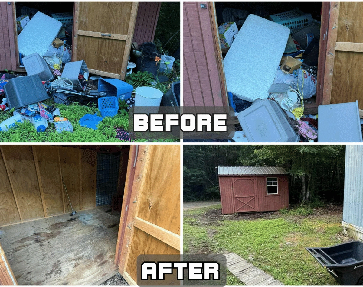 before and after removal 7